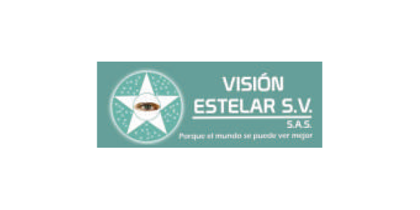 logo vision estelar